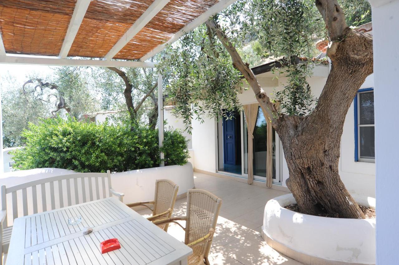 Case Vacanza Montesaraceno Mattinata Exteriör bild